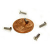 Titanium screw - Slotted Flat Head Countersunk - Din 963 - T40 (Grade 2) - Diameter M3