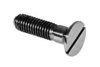 Titanium screw - Slotted Flat Head Countersunk - Din 963 - TA6V (Grade5 ) - Diameter M2.5